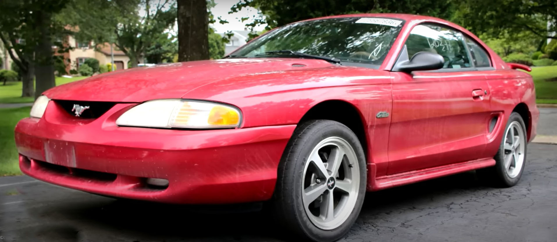 mustang red kdm313